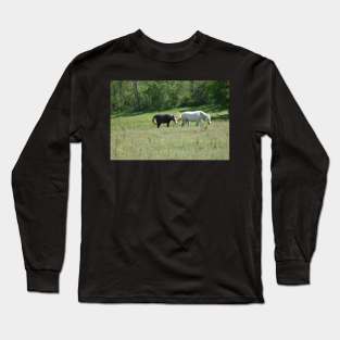 Wild Horses Long Sleeve T-Shirt